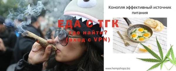 хмурый Алексин