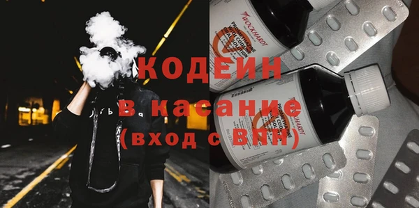хмурый Алексин