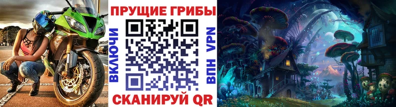 Галлюциногенные грибы Psilocybine cubensis что такое это клад Чебаркуль